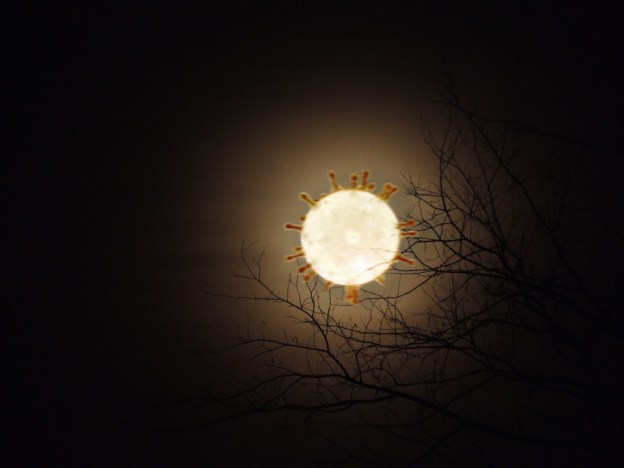 moon with spiky tendrils in a dark sky with silhouetted tree branches